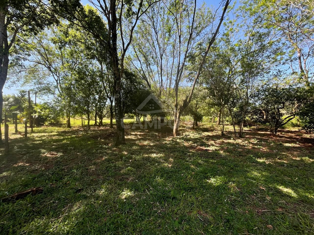 EN VENTA ESTE TERRENO - zona Dr. Juan M. Frutos (camino a Patiño)